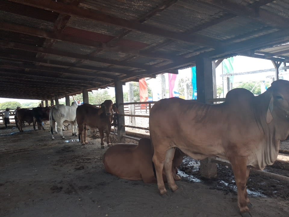 IMG-20190826-WA0018